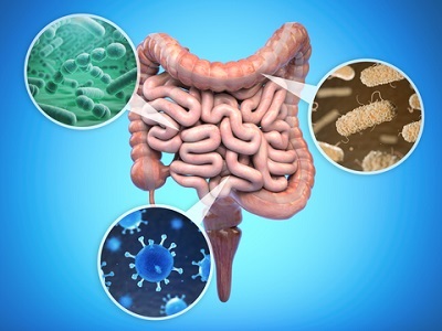 Gut Microbiota Can Predict Diabetes Risk Years Before it Develops