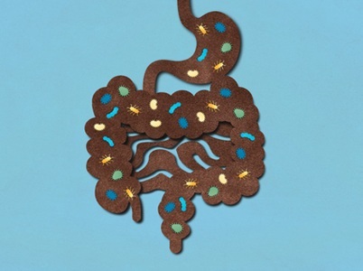Paper: Microbiome Science can Only Grow with Diversity