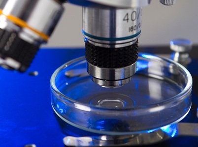 Building the AI-ready Lab: Why IHC Standardization Comes Before the Algorithm