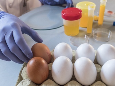 Study: Food Fraud Costs UK Up to £2 Billion a Year