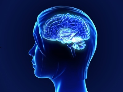  Study: Cell Changes After Stroke Fuel Brain Tumor Growth