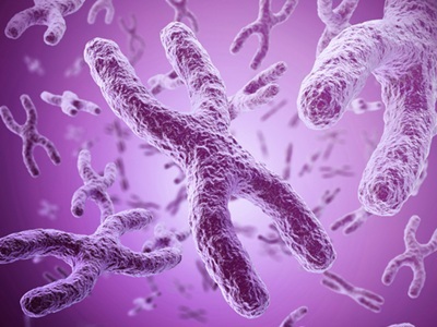 Gene on X Chromosome May Explain Sex Differences in Autism
