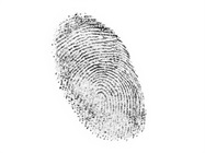 Fingerprint Development Chamber