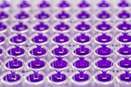 Microplate Centrifuge