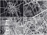 Scanning Electron Microscopes (SEM)