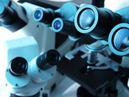 Confocal Microscope