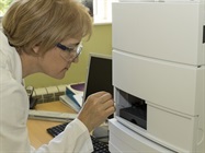 Ultra High Performance Liquid Chromatograph (UHPLC)