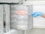 Minus 80 Freezer (-86 Freezer) | Labcompare.com