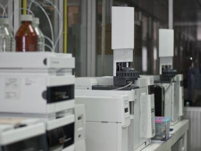 Electron Ionization Mass Spectrometer (EI MS)