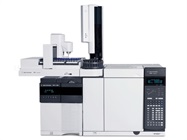 Chemical Ionization Mass Spectrometer (NCI MS / PCI MS)