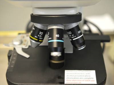 Microscope Stages