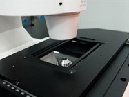Microscope Stage / Motorized Stage (XY Stage)