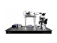 Motorized Positioning Stages and Platforms