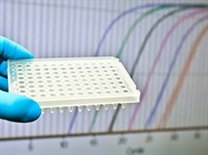 Gradient PCR Machine