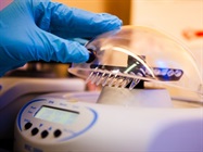 Tabletop Centrifuge