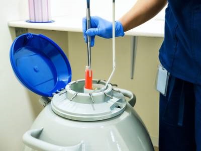 Organ Storage a Step Closer with Cryopreservation Discovery