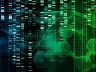 Next-Gen Sequencing Library Construction / Fragment Library System