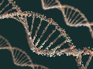 Nucleic Acid Purification Instruments