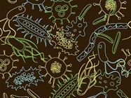Microbial Identification System