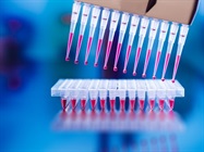 Assay Kits