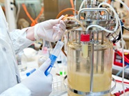 Bioreactor Vessels