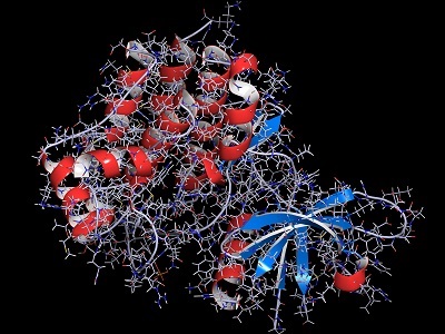 Dls Protein Optimizing DLS Measurements for Protein Characterization | Labcompare.com