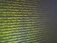 Next Generation DNA Sequencer