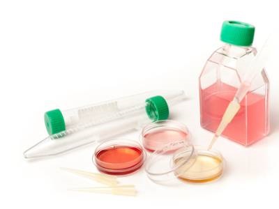 Lab Plasticware