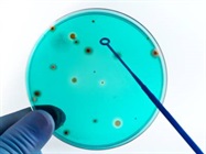 Microbiology Supplies