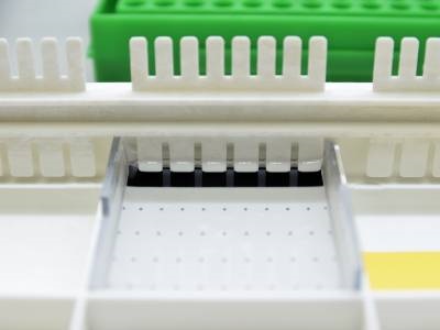 Gel Combs