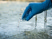PFAS Testing
