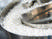 Pharmaceutical Analysis Instruments