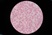 Cell Counters / Colony Counters