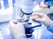 Compound Light Microscopes