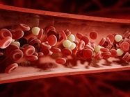 Blood Bank Automation System / Automated Blood Bank System