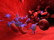 Platelet Incubators