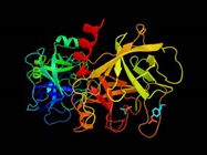 CRP Analyzer (C-Reactive Protein Analyzers)