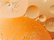 Homogenizers / Mechanical Homogenizer