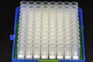 Pipette Tips