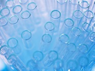 Animal Temperature