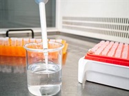Vertical Laminar Flow Hood