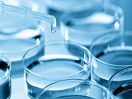 CO2 Incubator / Cell Culture Incubator