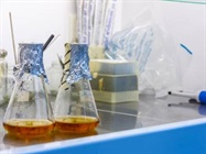 Agar sterilizer / Media Sterilizer