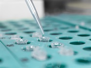 Micropipettes