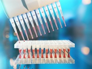 Multichannel Micropipettes