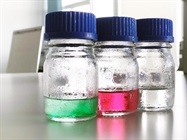 Portable pH Meter