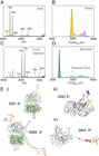 Triple Quadrupole Mass Spectrometer (QqQ MS) | Labcompare.com