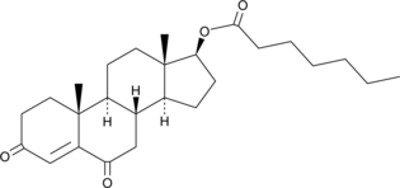 6-keto Testosterone Enanthate