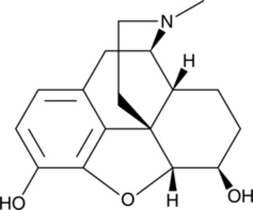 6β-Hydromorphol