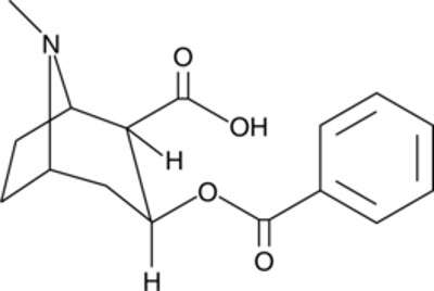 Benzoylecgonine